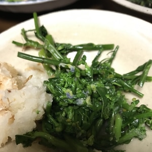 開いてしまった大根の花 とも和え 大根おろし和え レシピ 作り方 By 夏はぜ 楽天レシピ 開いてしまった大根の花 とも和え 大根おろし和え レシピ 作り方 By 夏はぜ 楽天レシピ